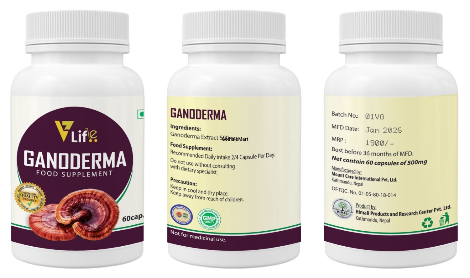 Ganoderma