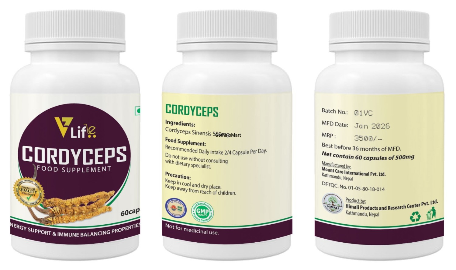 Cordyceps